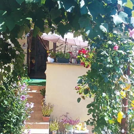 Near Centre With Garden *