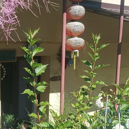 Apartment Near Centre With Garden