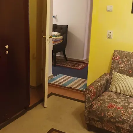 Apartment Near Centre With Garden