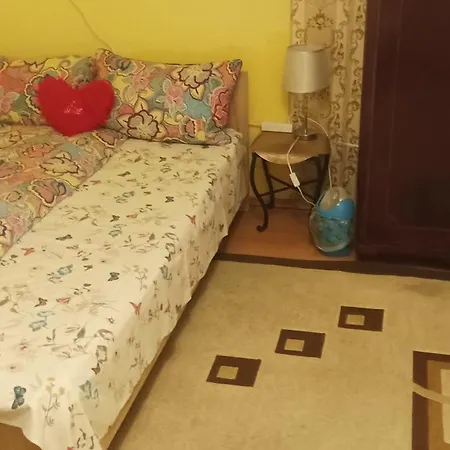 Apartment Near Centre With Garden Cluj-Napoca