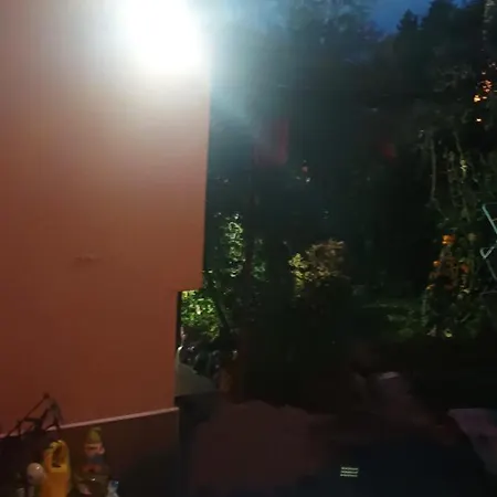 Near Centre With Garden *