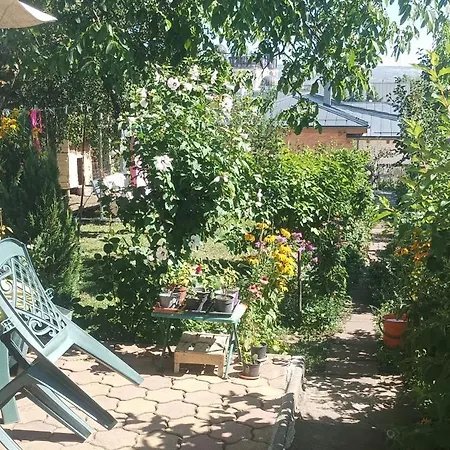 Near Centre With Garden