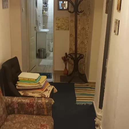 Apartment Near Centre With Garden Cluj-Napoca