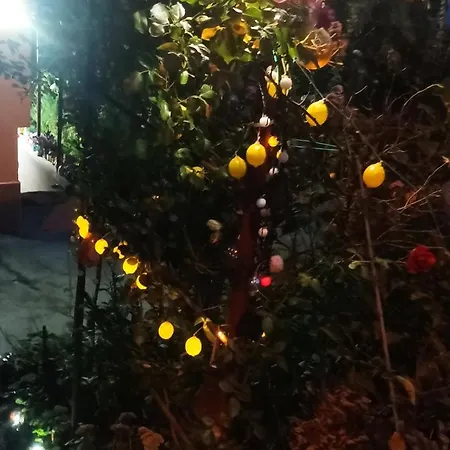 Apartment Near Centre With Garden