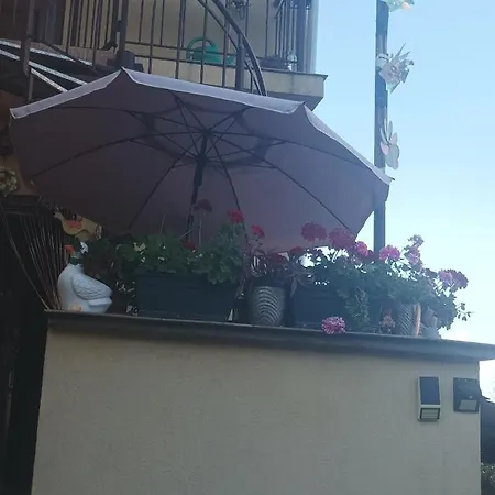 Apartment Near Centre With Garden Cluj-Napoca