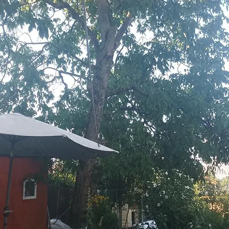 Near Centre With Garden Apartment *