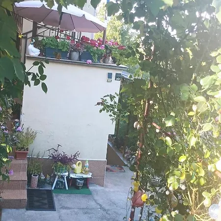 Near Centre With Garden * Cluj-Napoca